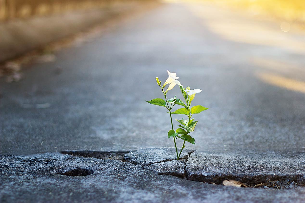 Las carreteras del futuro: así serán