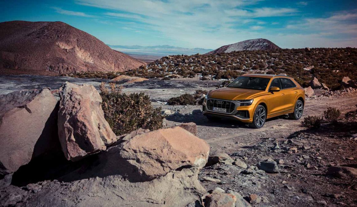 Audi Q8: ya se admiten pedidos