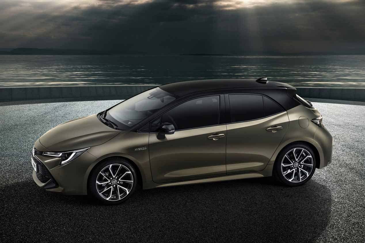 Todos los coches compactos que llegan hasta finales de 2019