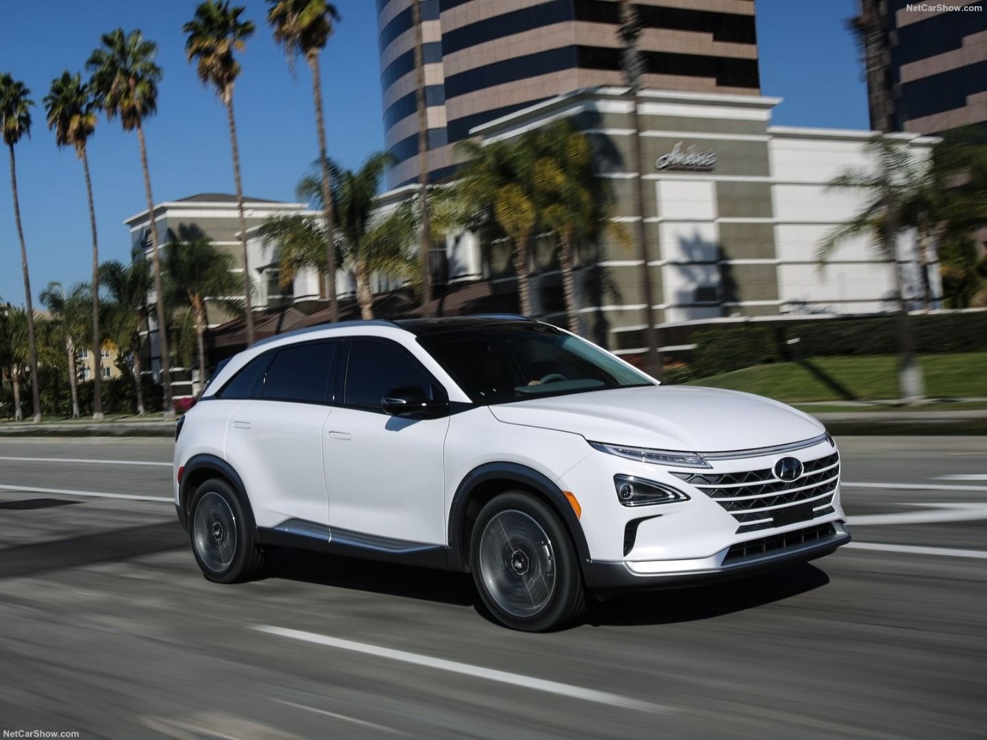 La gama ECO de Hyundai: tres versiones de Ioniq, Kona... y Nexo