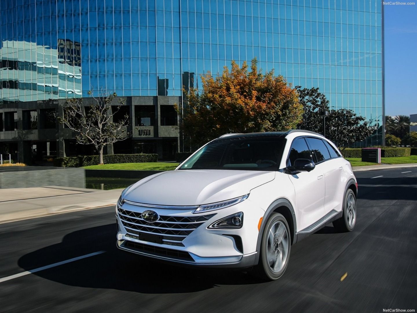 La gama ECO de Hyundai: tres versiones de Ioniq, Kona... y Nexo