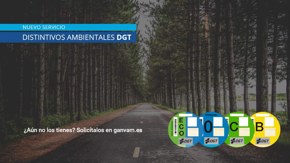 Etiquetas de la DGT: cómo recibir la de tu coche en 48 horas