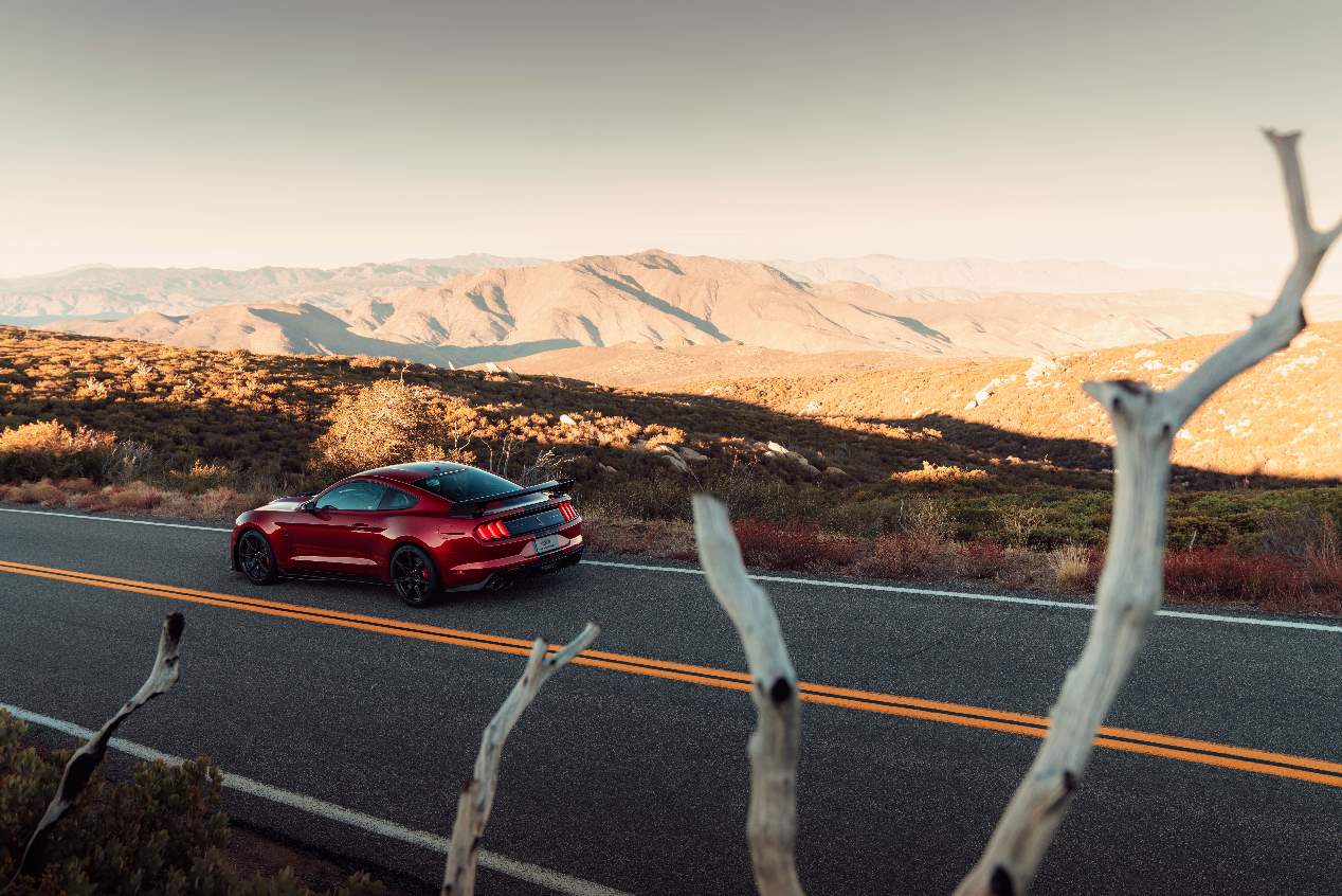 Ford Mustang Shelby GT500 2020, sus mejores imágenes