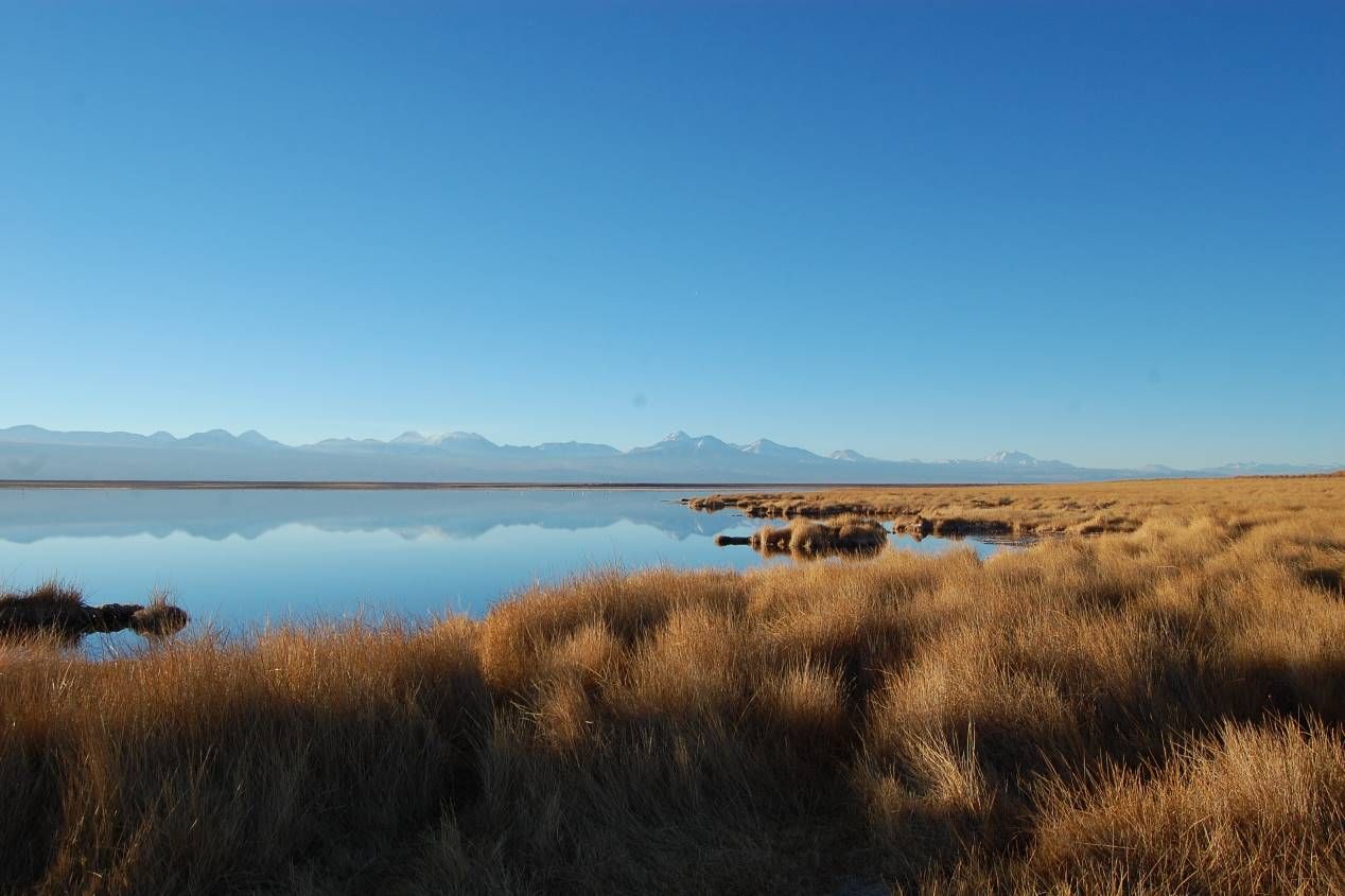 Lo mejor del desierto de Atacama y el Altiplano de Chile, con un Audi Q8