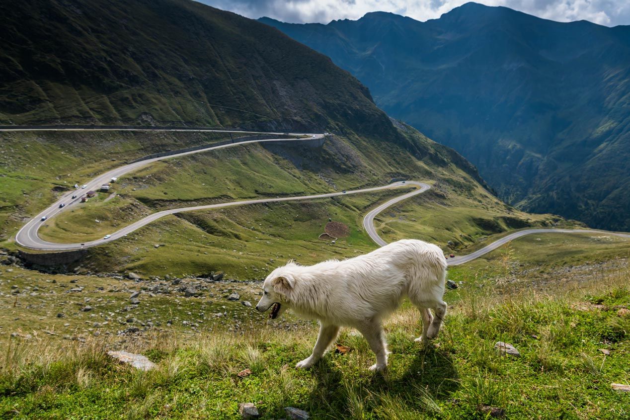 La Transfăgărășan, una carretera única en las profundidades de Rumanía
