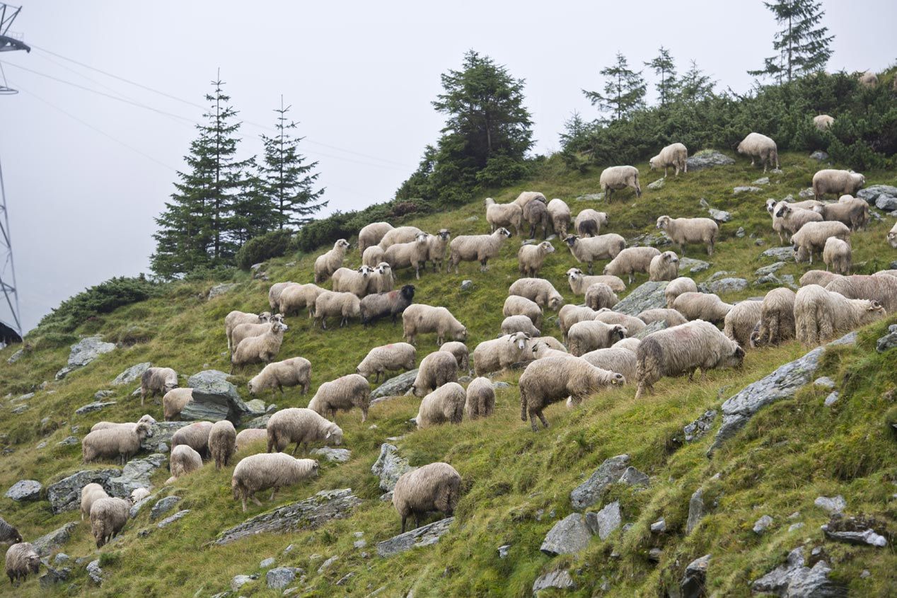 La Transfăgărășan, una carretera única en las profundidades de Rumanía