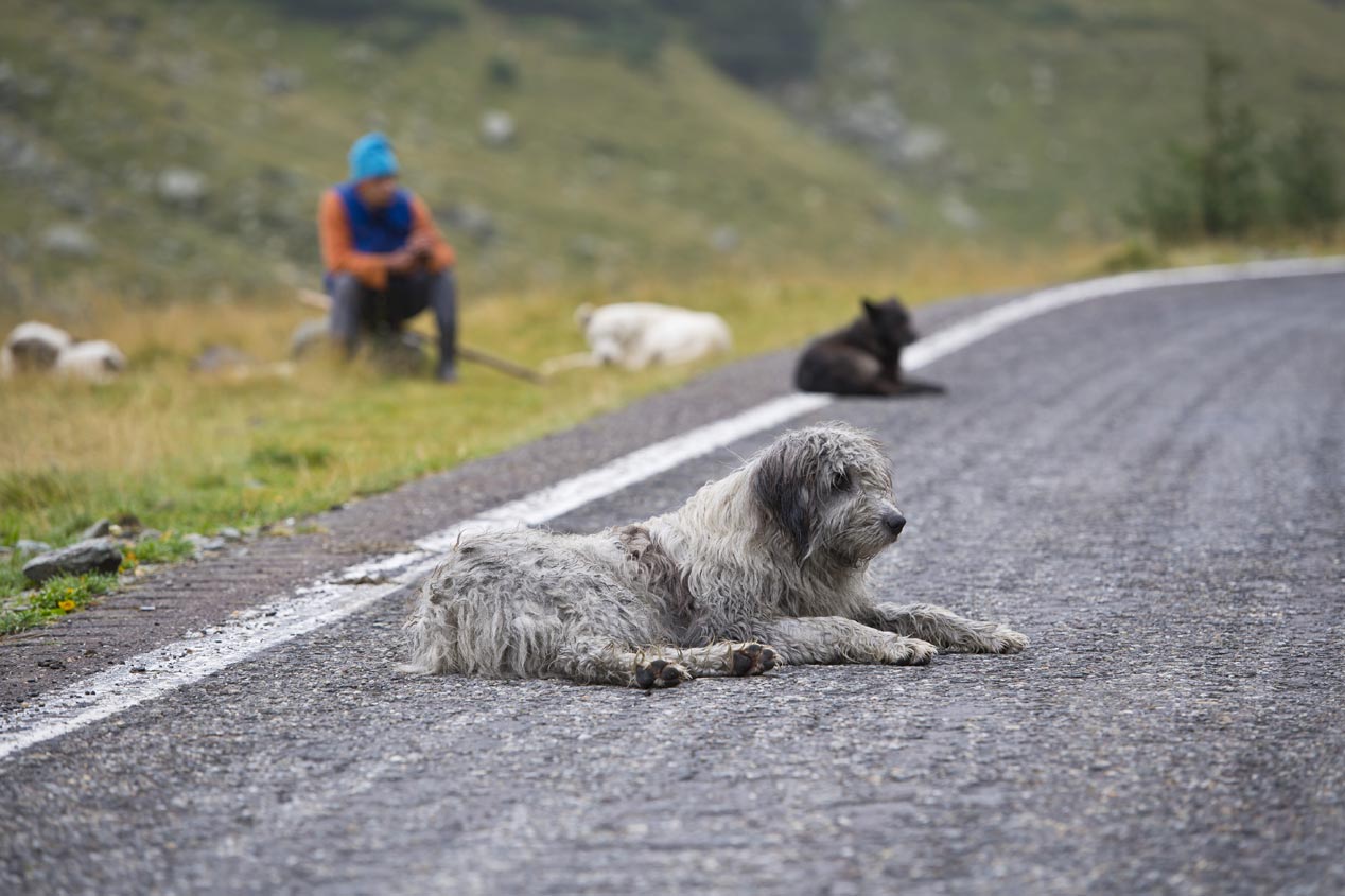 La Transfăgărășan, una carretera única en las profundidades de Rumanía