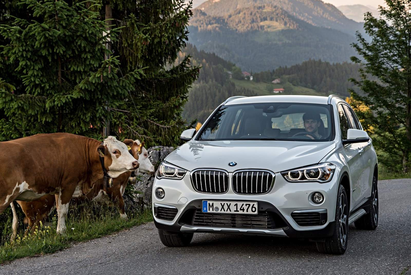 El BMW X1 2019, en imágenes