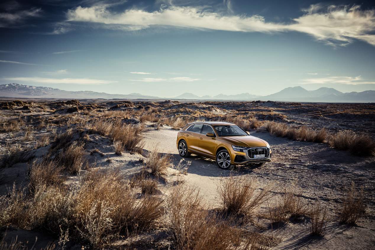 Audi Q8: nuevas versiones 55 TFSI y 45 TDI