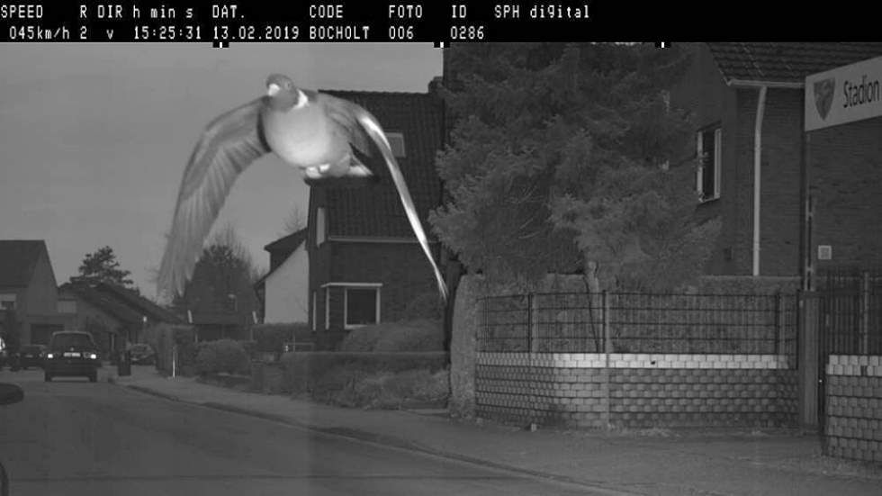 La sorprendente multa (y no a un coche) de un radar de velocidad a 45 km/h en límite de 30