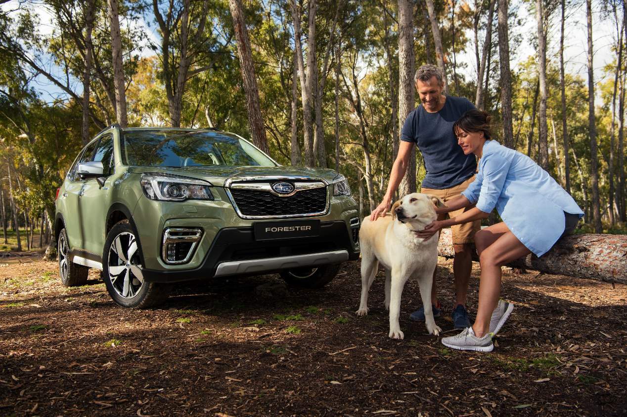 Los SUV híbridos Subaru Forester y XV Eco-Hybrid, en fotos