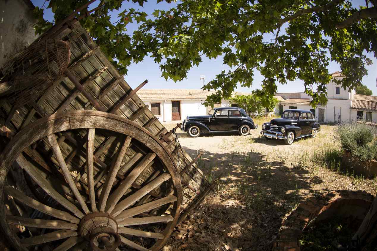 Comparativa: Mercedes Benz 220 vs Opel Kapitän