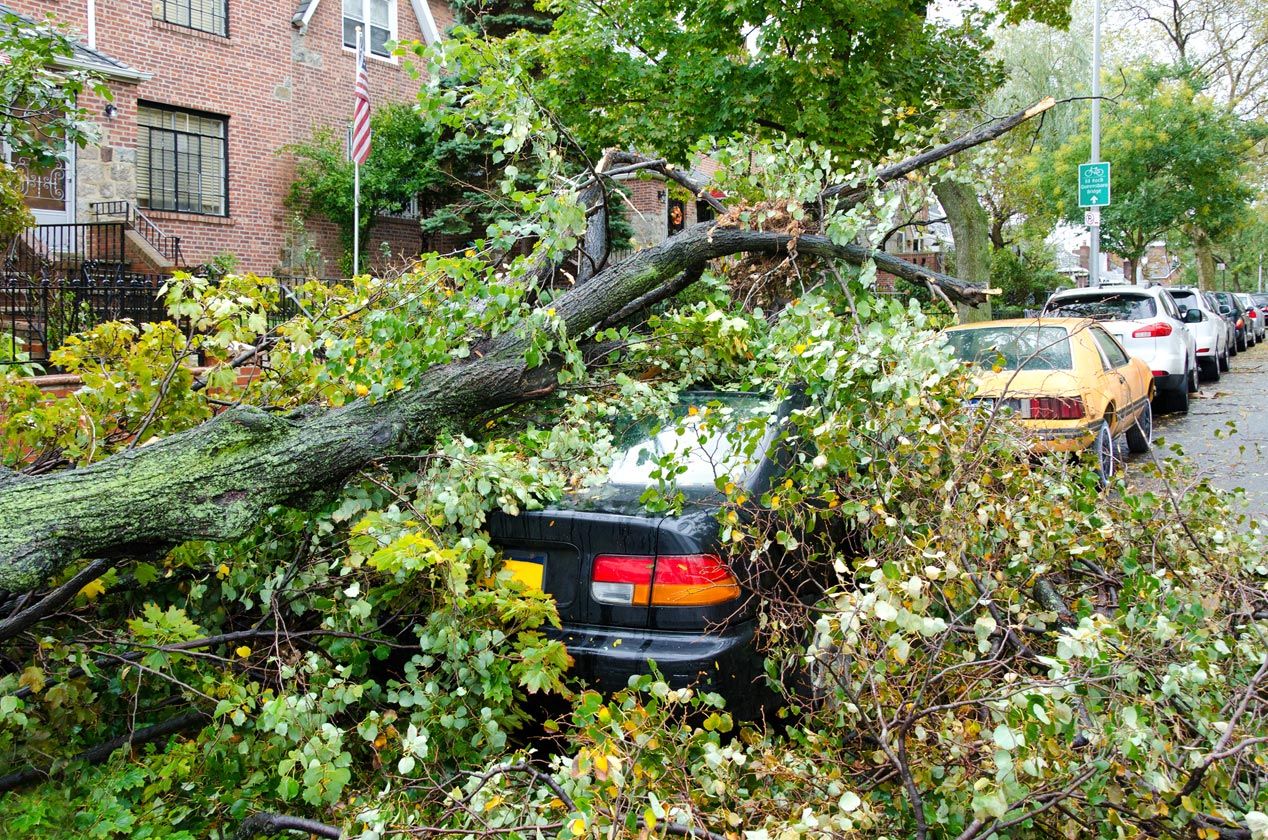 10 casos que no son cubiertos por el seguro de tu coche