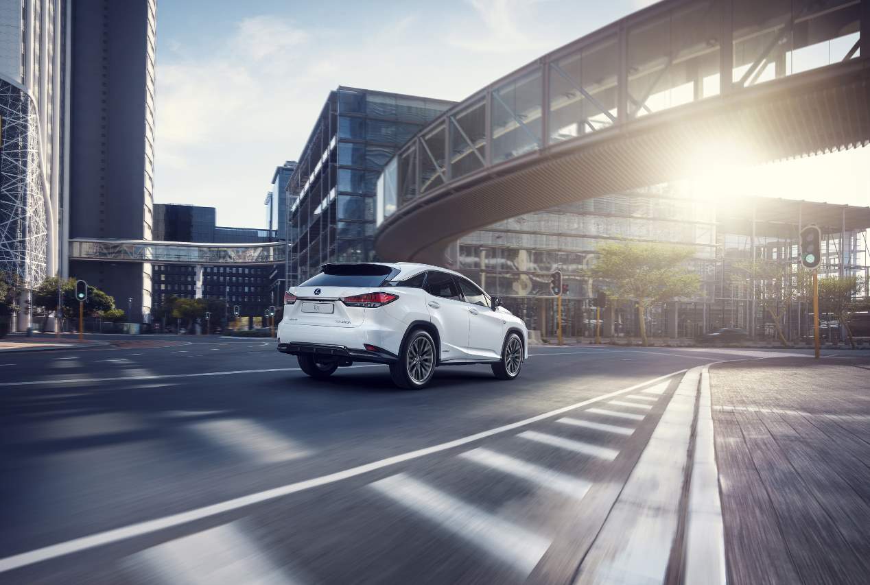 Los nuevos Lexus RX 2020, en fotos