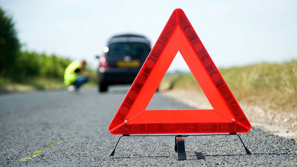 ¿Cubre el seguro de tu coche un accidente o impactos con animales? Lo que tienes que saber