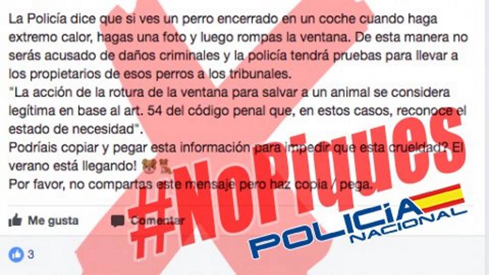 La policía alerta del bulo de los perros encerrados en coches: así hay que actuar