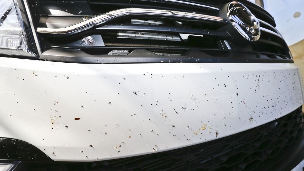 El truco definitivo para quitar los mosquitos de la carrocería de tu coche