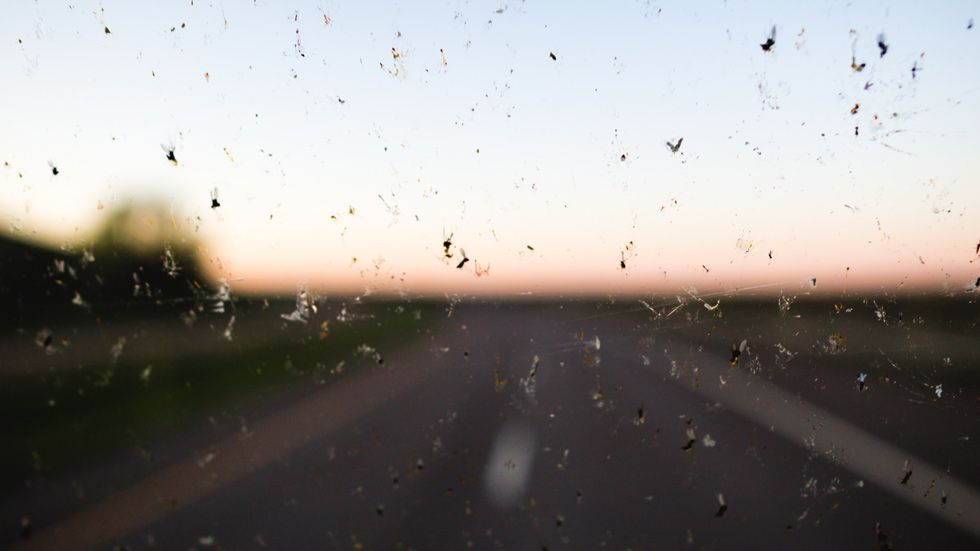 Los mejores consejos para tener siempre los cristales del coche limpios en verano
