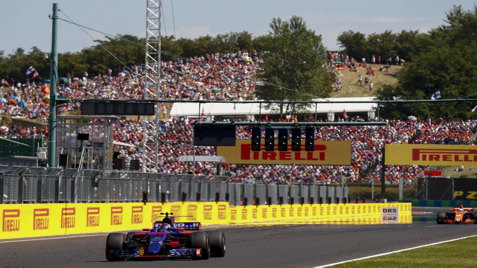 Sainz fue séptimo en 2017 con el Toro Rosso