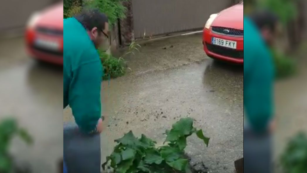 Es viral: flores en los baches para reivindicar el mal estado de las carreteras