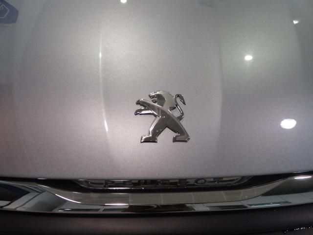 Peugeot 308 1.6hdi Active Fap