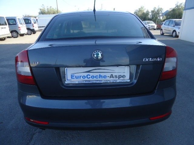 Skoda Octavia 1.6tdi Cr Collection