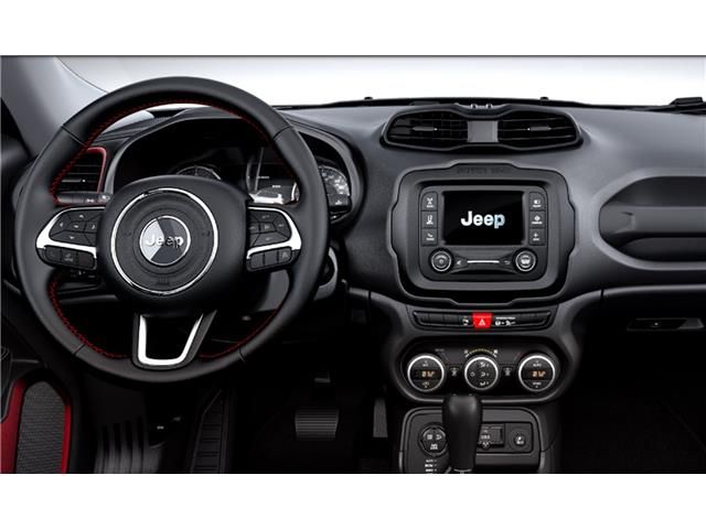 Jeep Renegade 2.0 Mjet Trailhawk 4x4 170CV Auto AD Low