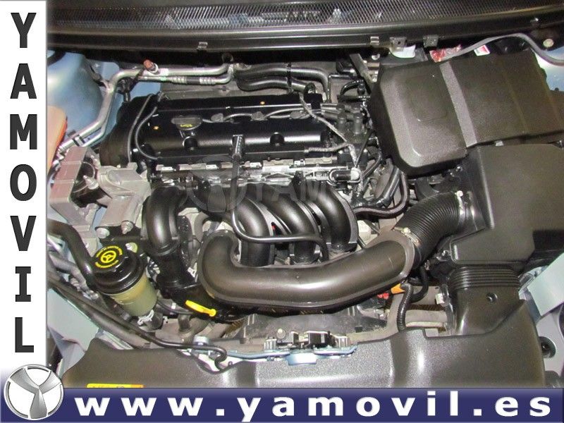 Ford Focus 1.6 100CV 5P TREND