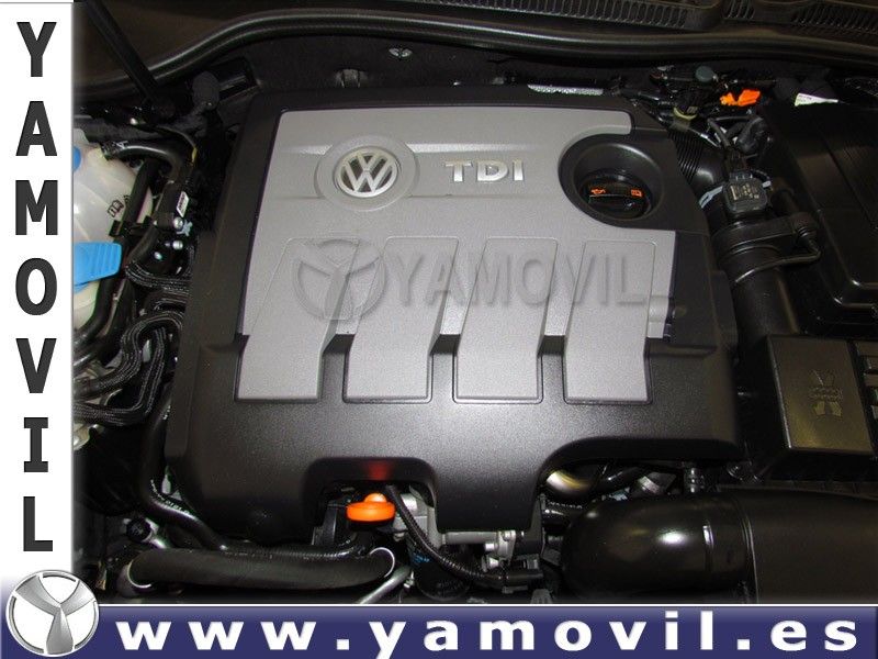 Volkswagen Golf 1.6 TDi 105CV BLUE MOTION ADVANCE 5P