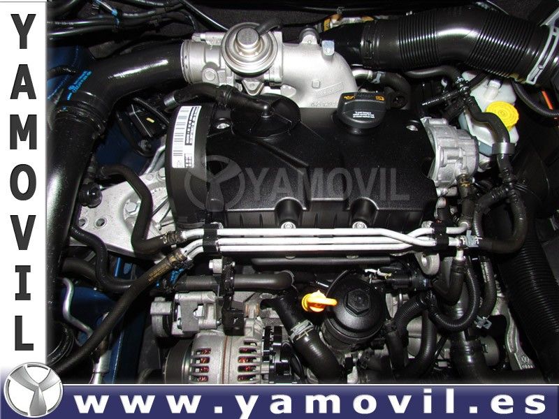 Volkswagen Polo 1.4 TDi 70CV UNITED 3P