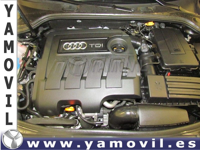 Audi a3 ATRACCTION 1.6 TDI 105CV 3P