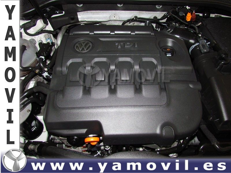 Volkswagen Golf 1.6 TDi 105CV EDITION 5P