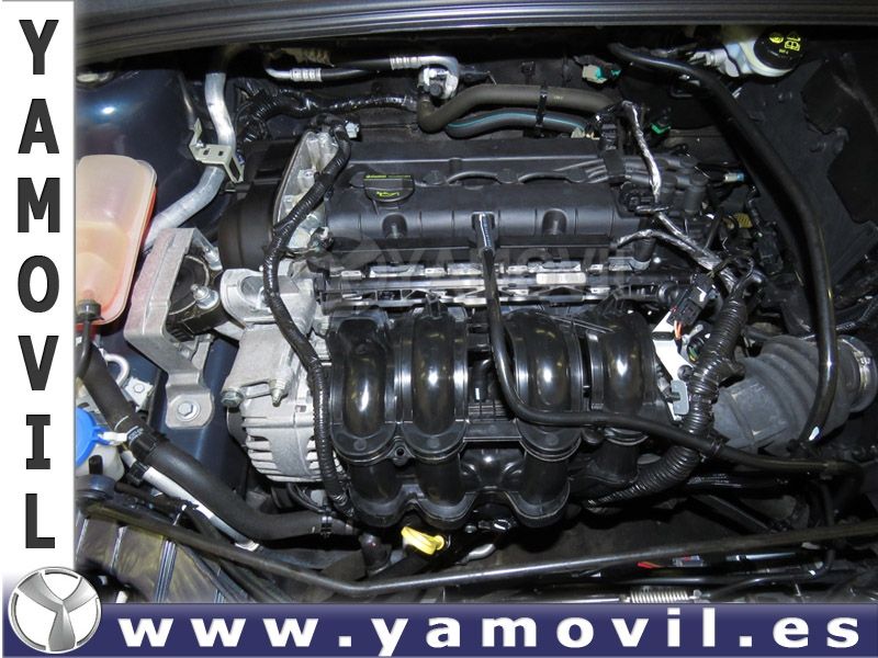 Ford Focus 1.6 TI-VGT 125CV TREND 5P