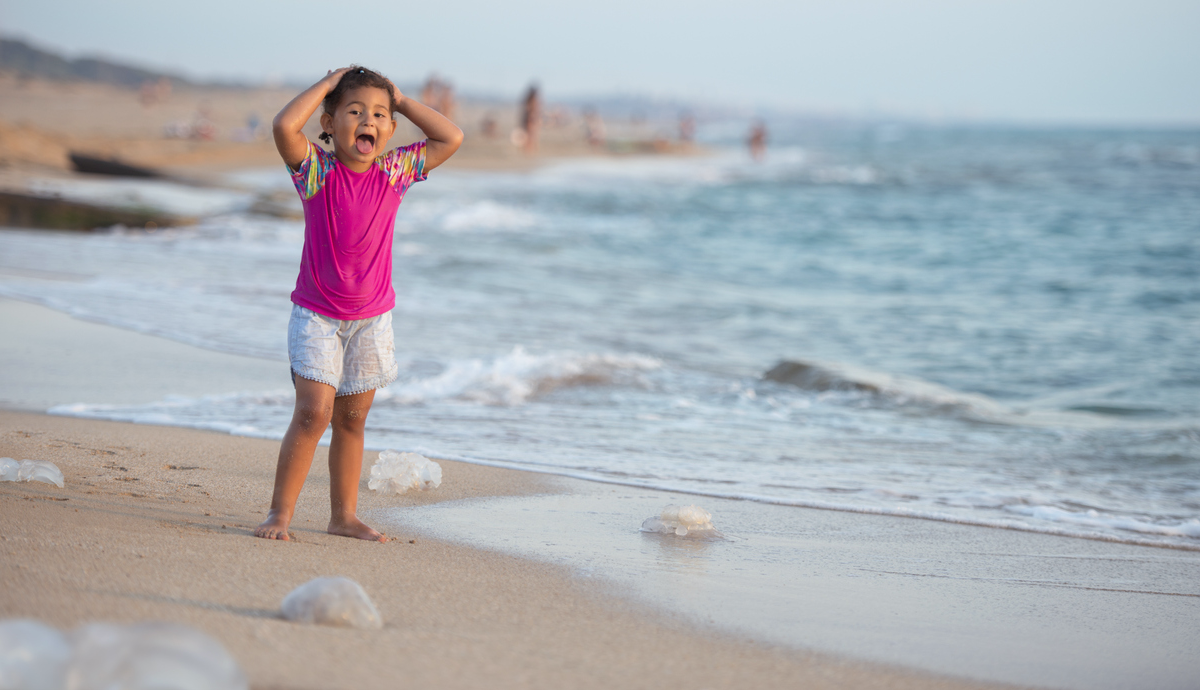 Con esta app podremos saber si hay medusas en nuestra playa y mucho más sobre ellas y sus picaduras. Foto: iStock