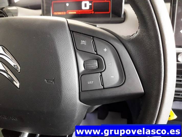 Citroen C4 Cactus PureTech 110cv S&S Feel
