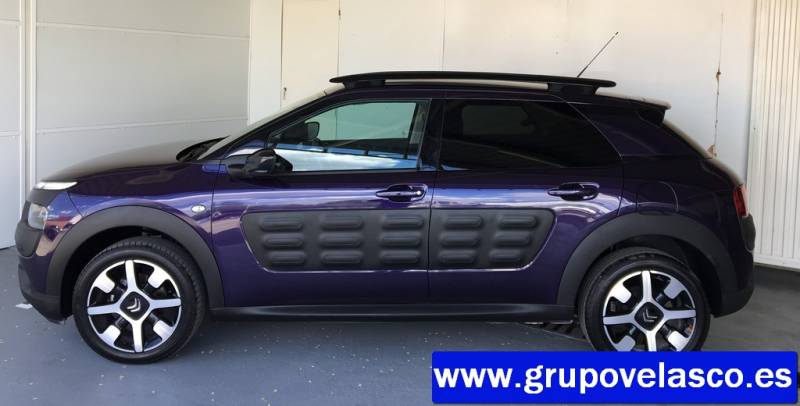 Citroen C4 Cactus BlueHDi 100 Shine