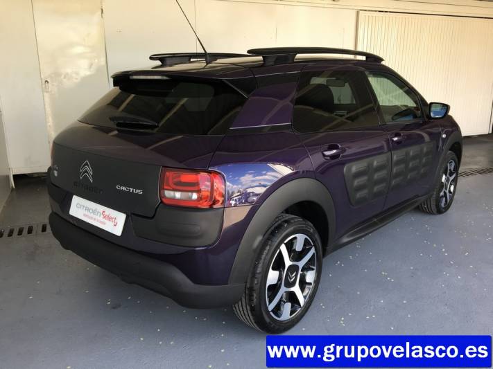 Citroen C4 Cactus BlueHDi 100 Shine