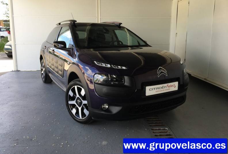 Citroen C4 Cactus BlueHDi 100 Shine