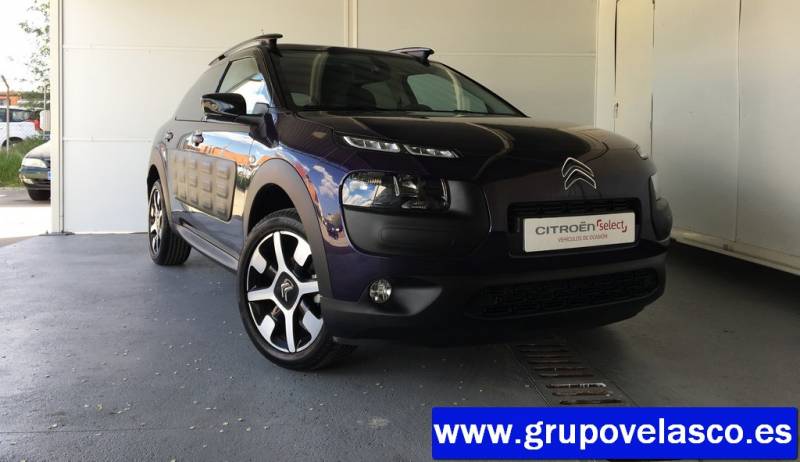 Citroen C4 Cactus BlueHDi 100 Shine