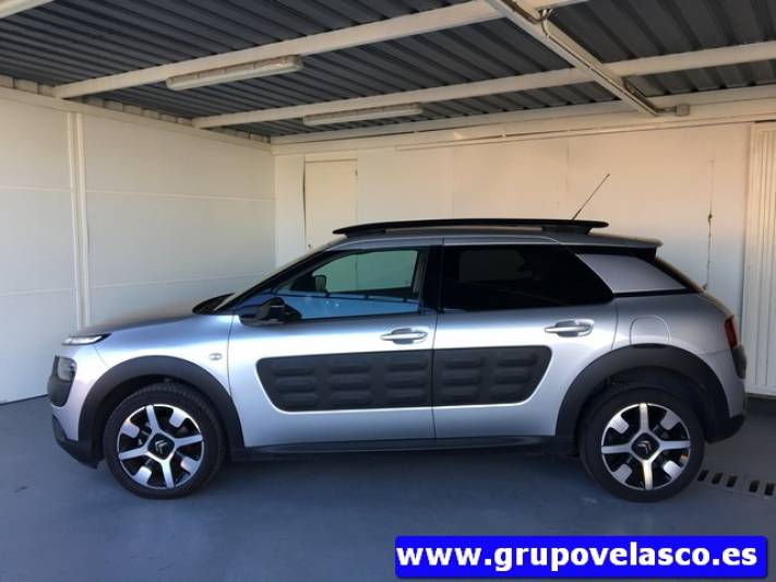 Citroen C4 Cactus BlueHDi 100 Shine