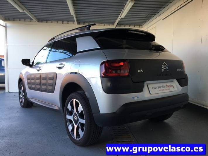 Citroen C4 Cactus BlueHDi 100 Shine