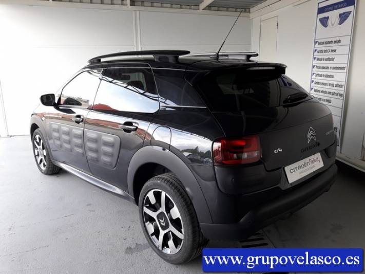Citroen C4 Cactus BlueHDi 100 Shine Edition