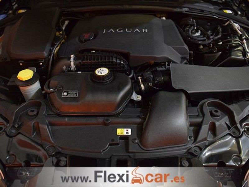 Jaguar XF 3.0 V6 Diésel Portfolio