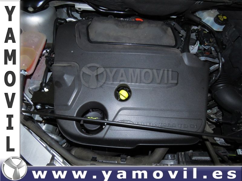 Ford Kuga 2.0 TDCi 140CV TREND 4X2