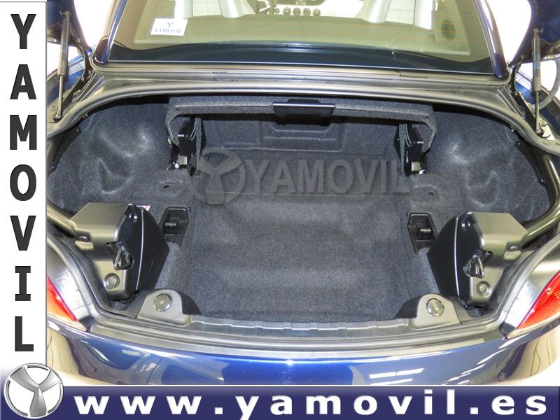 BMW Z4 2.0 DRIVE AUTO. E89