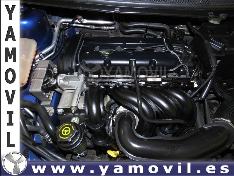 Ford Focus TREND 1.6i 100CV