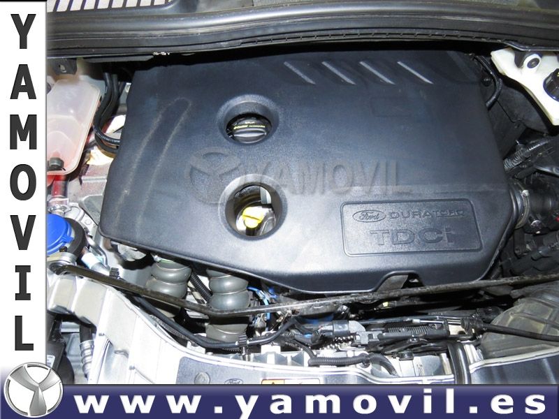 Ford C-Max 1.6 TDCi 115CV TREND