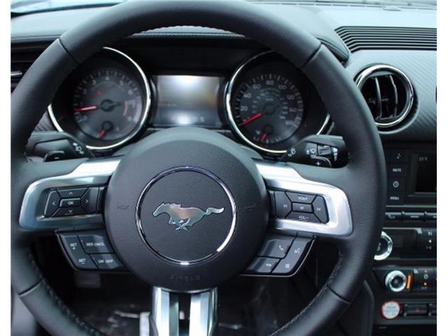 Ford Mustang V6
