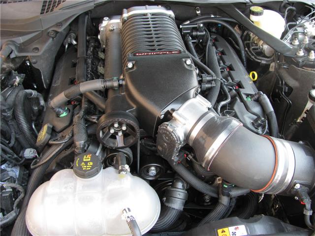 Ford Mustang GTR Supercharger 650hp, NETO EXPORT PRICE