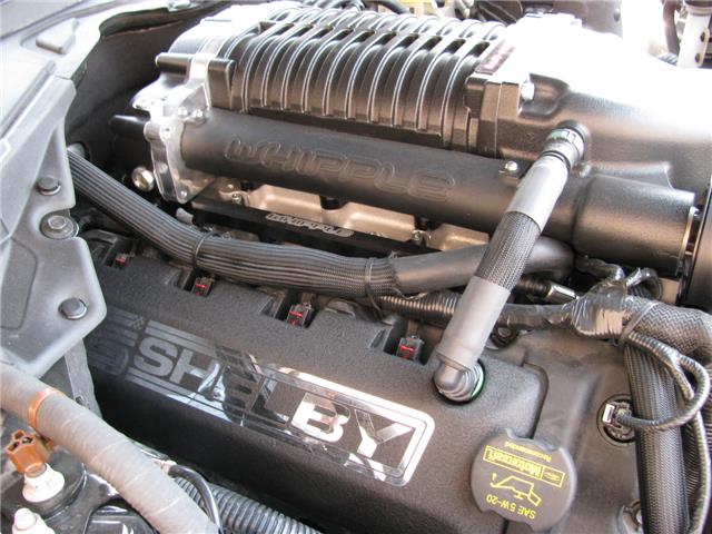 Ford Mustang GTR Supercharger 650hp, NETO EXPORT PRICE